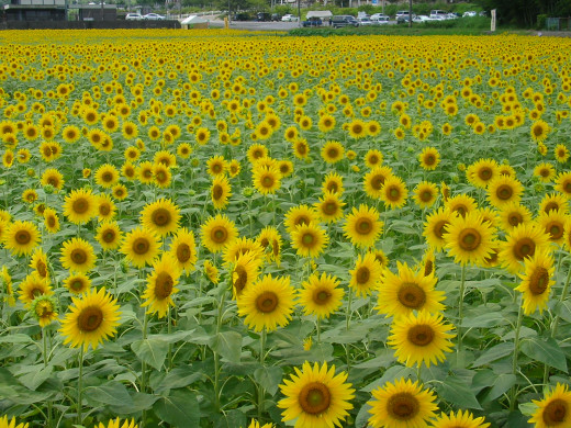 678500 (a): :1600x1200